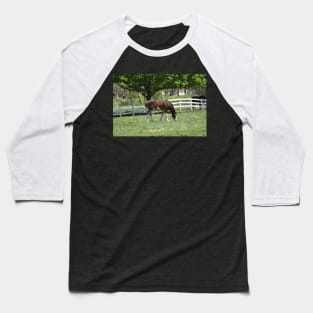 Clydesdale Baseball T-Shirt